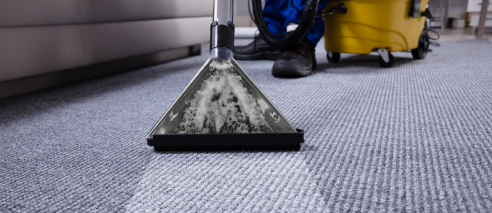 Carpet shampooing and cleaning services in Abu Dhabi